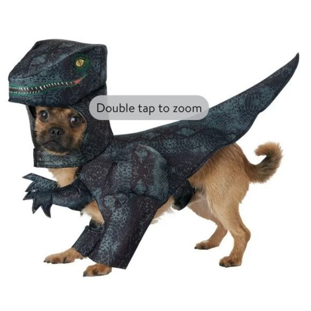 Pupasaurus Rex T-Rex Dinosaur Velociraptor Raptor Dog Halloween Costume Large